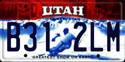 UT license plate B312LM