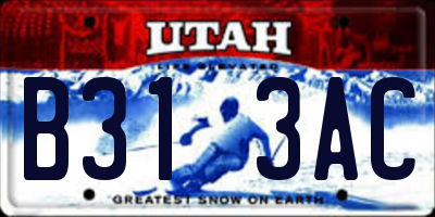 UT license plate B313AC