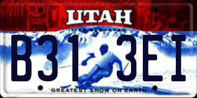 UT license plate B313EI