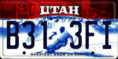 UT license plate B313FI
