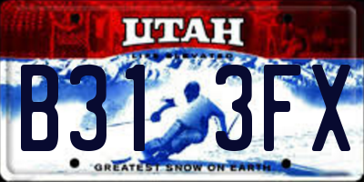 UT license plate B313FX