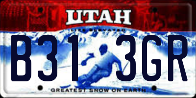 UT license plate B313GR