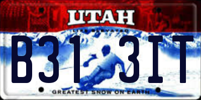 UT license plate B313IT