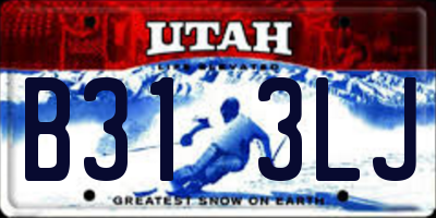 UT license plate B313LJ