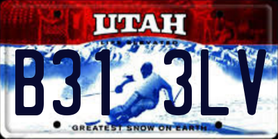 UT license plate B313LV