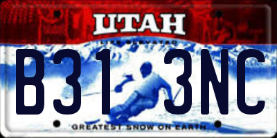 UT license plate B313NC