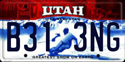 UT license plate B313NG