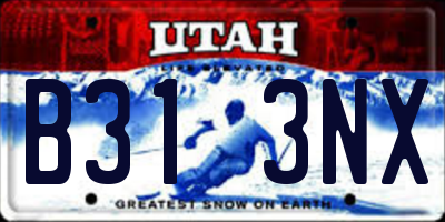 UT license plate B313NX