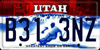 UT license plate B313NZ
