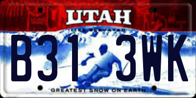 UT license plate B313WK