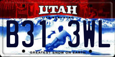 UT license plate B313WL