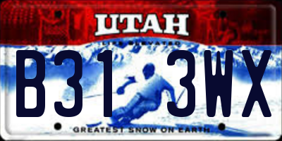 UT license plate B313WX