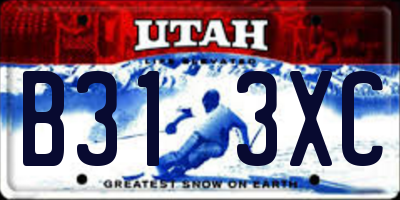 UT license plate B313XC