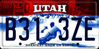 UT license plate B313ZE
