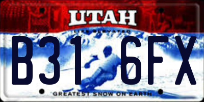 UT license plate B316FX