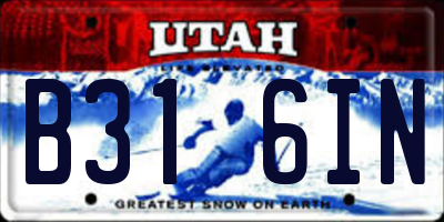 UT license plate B316IN