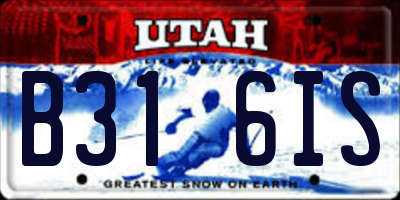 UT license plate B316IS