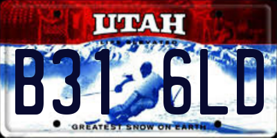 UT license plate B316LD