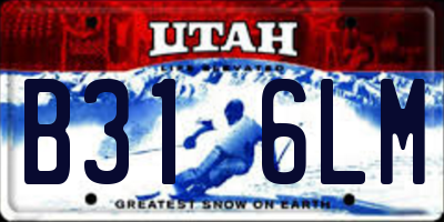 UT license plate B316LM