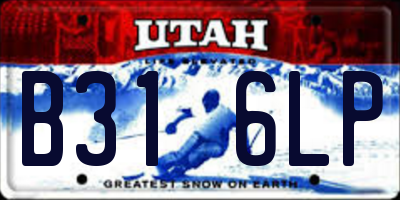 UT license plate B316LP