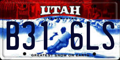 UT license plate B316LS