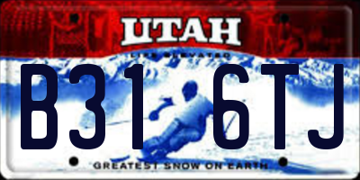 UT license plate B316TJ