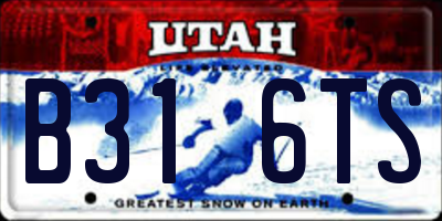 UT license plate B316TS