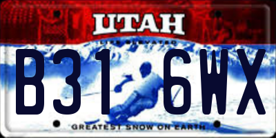 UT license plate B316WX