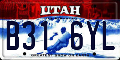 UT license plate B316YL