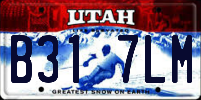 UT license plate B317LM