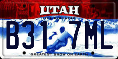 UT license plate B317ML