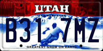 UT license plate B317MZ