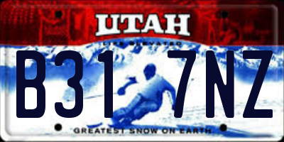 UT license plate B317NZ