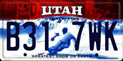 UT license plate B317WK