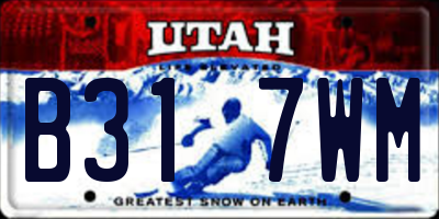 UT license plate B317WM