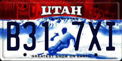UT license plate B317XI