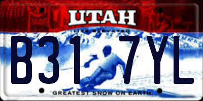 UT license plate B317YL