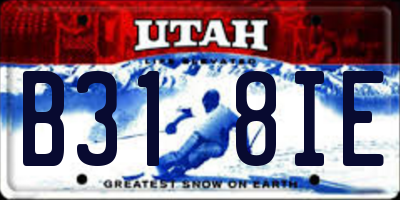 UT license plate B318IE