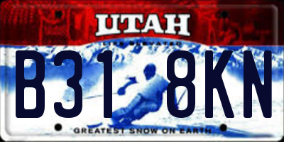 UT license plate B318KN