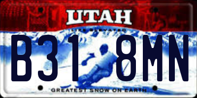 UT license plate B318MN