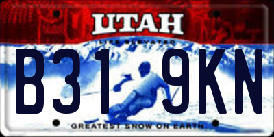 UT license plate B319KN