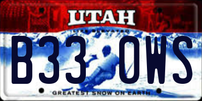 UT license plate B330WS