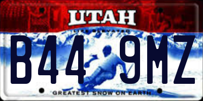 UT license plate B449MZ