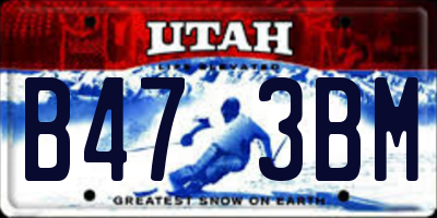 UT license plate B473BM
