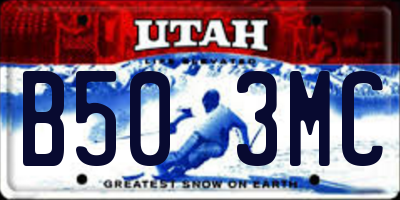 UT license plate B503MC