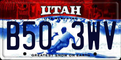 UT license plate B503WV