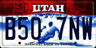 UT license plate B507NW