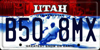 UT license plate B508MX