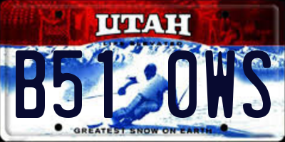 UT license plate B510WS