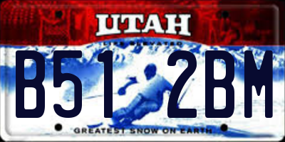 UT license plate B512BM